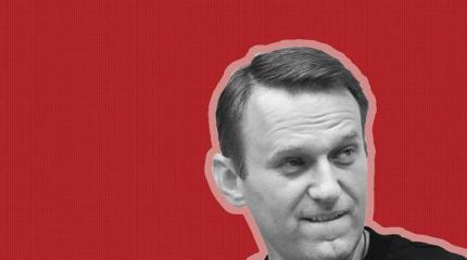 Что такое дурилка картонная: самовыдвижение Навального Что такое дурилка картонная: самовыдвижение Навального