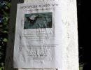 Как подзаработать на войне