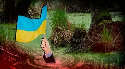 Каковы дивиденды Запада от новой гражданской войны на Украине Каковы дивиденды Запада от новой гражданской войны на Украине