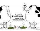 Счастливый выбор Украины Счастливый выбор Украины