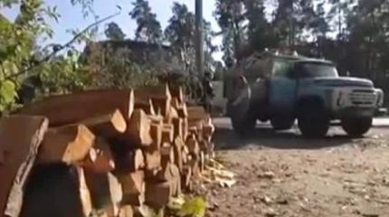 Украина готовится к зиме: цены на дрова взлетели в десять раз