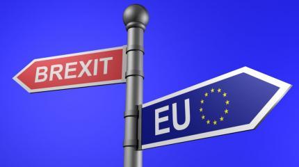 Граждане ЕС недовольны, но нового Brexit не хотят Граждане ЕС недовольны, но нового Brexit не хотят