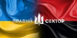 «Правый сектор» как инструмент Вашингтона «Правый сектор» как инструмент Вашингтона