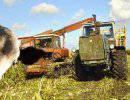 Попытки оздоровления экономики под угрозой санкций Попытки оздоровления экономики под угрозой санкций