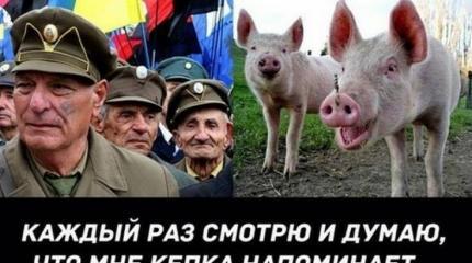 На Львовщине Год Свиньи обьявили «Годом Бандеры» На Львовщине Год Свиньи обьявили «Годом Бандеры»