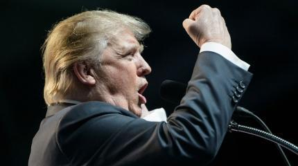 Трамп достал козырь из рукава в борьбе за контроль над Конгрессом Трамп достал козырь из рукава в борьбе за контроль над Конгрессом