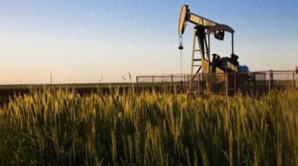Насколько огромен долг нефтяных компаний США? Насколько огромен долг нефтяных компаний США?