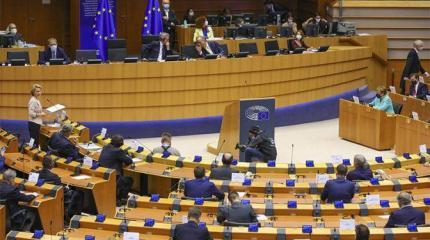 Европарламент профинансирует воспитание полезной Западу российской молодежи Европарламент профинансирует воспитание полезной Западу российской молодежи