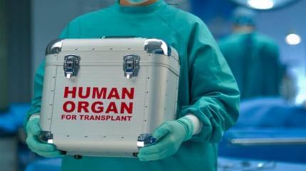 На Украине опасаются «побочных эффектов» закона о трансплантации На Украине опасаются «побочных эффектов» закона о трансплантации