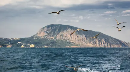 Крым, с праздником, не зря страдали, не зря сражались Крым, с праздником, не зря страдали, не зря сражались
