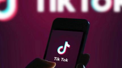 Власти возьмутся за TikTok