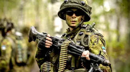 Эстония заявила о победе над ИГИЛ и теперь грозит России