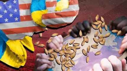 Медвежья услуга Европы с зерном обернется для Украины вторым голодомором Медвежья услуга Европы с зерном обернется для Украины вторым голодомором