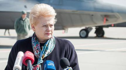 Экс-президент Литвы Грибаускайте: На Украине разворовали помощь НАТО Экс-президент Литвы Грибаускайте: На Украине разворовали помощь НАТО