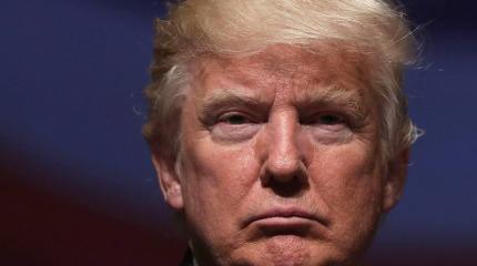 Отрезвление демократов: а во всем ли был виноват Трамп? Отрезвление демократов: а во всем ли был виноват Трамп?