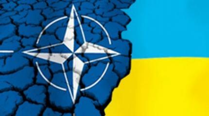 НАТО погибнет не от рук врага, Альянс погубит Украина НАТО погибнет не от рук врага, Альянс погубит Украина
