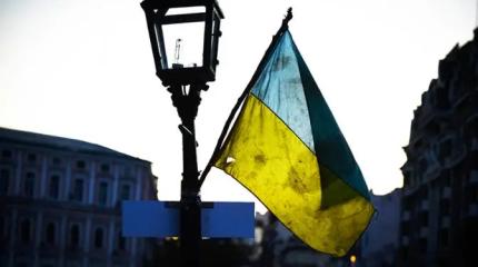 Драчка за ресурсы: Макрон и компания делят шкуру неубитой свиньи