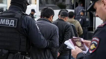 Дальше будет хуже! СК сделал громкое предупреждение о преступности мигранто