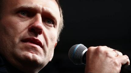 Навальному хотят предоставить убежище в Германии