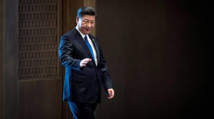 Борьба с "тиграми" и "мухами". Как лидер Китая пытается победить коррупцию