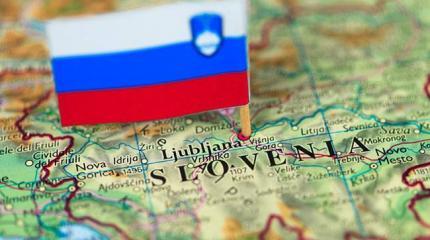 МИД Словении против высылки российских дипломатов МИД Словении против высылки российских дипломатов