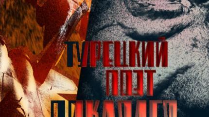 Вот это поворот! Турки оказались мужественней американцев Вот это поворот! Турки оказались мужественней американцев