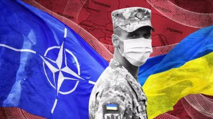Союз Киева и НАТО не одобрят в Европе Союз Киева и НАТО не одобрят в Европе