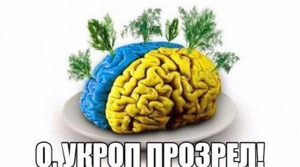 Грустные думы прозревшего укропа: «Нас, наверное, ждет третий Майдан» Грустные думы прозревшего укропа: «Нас, наверное, ждет третий Майдан»