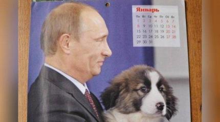 Sun: новый календарь с Путиным растопит даже самые холодные сердца Sun: новый календарь с Путиным растопит даже самые холодные сердца