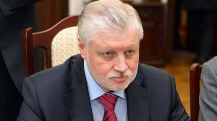 Миронов настаивает, что РФ должна взять Донбасс под свое покровительство