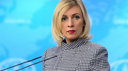 Захарова прокомментировала слова Порошенко, сравнившего Россию с крокодилом Захарова прокомментировала слова Порошенко, сравнившего Россию с крокодилом