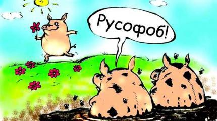 Русофобы и русофилы. Мирное сосуществование возможно?