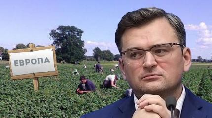 Путь Украины в ЕС ведёт на польские поля