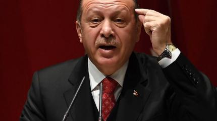 США хотят взять Эрдогана и его «Оливковую ветвь» под контроль США хотят взять Эрдогана и его «Оливковую ветвь» под контроль