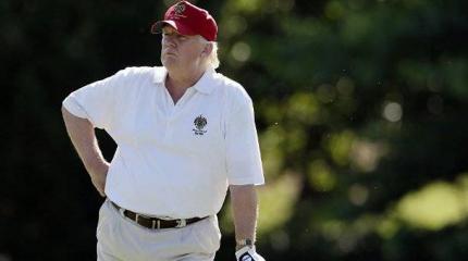 Шестеро на одного: получится ли у демократов добиться импичмента Трампа Шестеро на одного: получится ли у демократов добиться импичмента Трампа