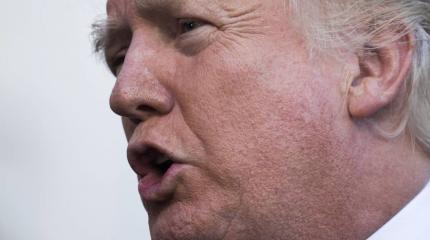 Белый дом при Трампе стал детским садом Белый дом при Трампе стал детским садом