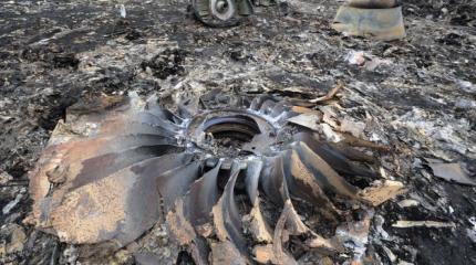 Родственники жертв катастрофы MH17 потребовали опубликовать данные радаров