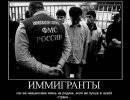 В какой стране больше иммигрантов В какой стране больше иммигрантов
