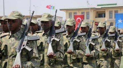 Антитурецкий альянс на Красном море: сдерживание Эрдогана или мираж?