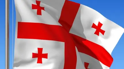 В Тбилиси учреждена «Новая Грузия» В Тбилиси учреждена «Новая Грузия»