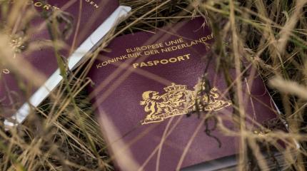 Суд по делу MH17: даже один адвокат поставит под сомнение все обвинения ССГ