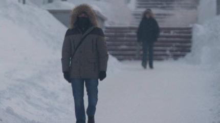 Египетских студентов отправят в Сибирь