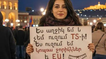 Армянские любители «кружевных трусиков»: Потянем за собой Грузию с Ираном!