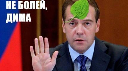 На Димона начихали На Димона начихали