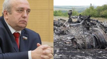 Клинцевич рассказал о последствиях завершения дела о крушении MH17 Клинцевич рассказал о последствиях завершения дела о крушении MH17