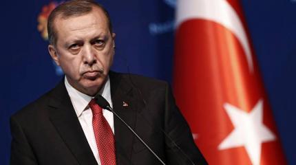 Ночной кошмар Эрдогана