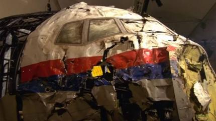 Процесс по MH17 станет проверкой Нидерландов на объективность правосудия Процесс по MH17 станет проверкой Нидерландов на объективность правосудия