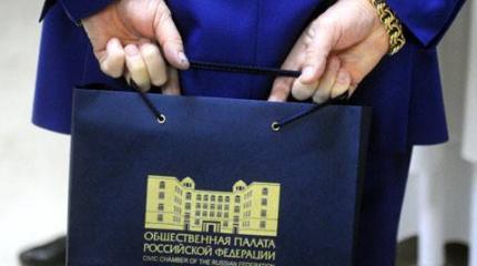 Общественная палата просит полномочий Общественная палата просит полномочий