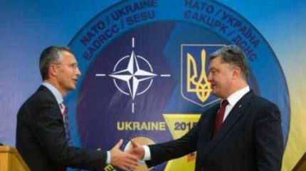 НАТО и Украина: армия живых не желает превращаться в армию «двухсотых» НАТО и Украина: армия живых не желает превращаться в армию «двухсотых»