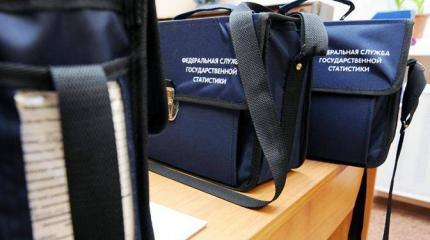Всеобщую перепись оптимизировали под выборы Всеобщую перепись оптимизировали под выборы